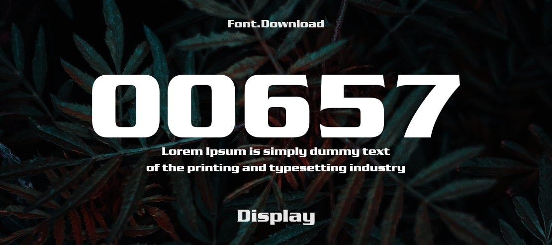 00657 Font