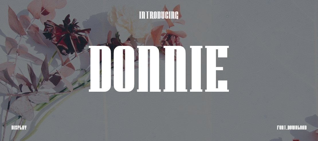 Donnie Font