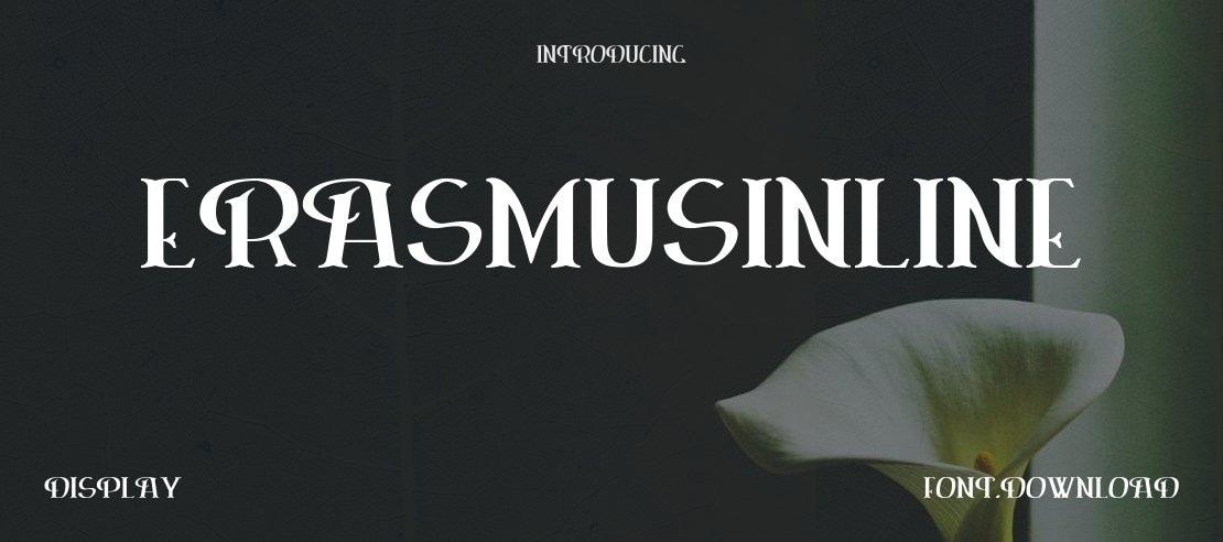 ErasmusInline Font Family