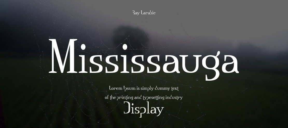 Mississauga Font