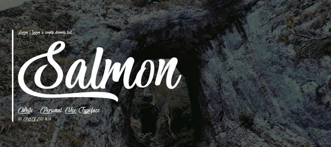 Salmon White - Personal Use Font