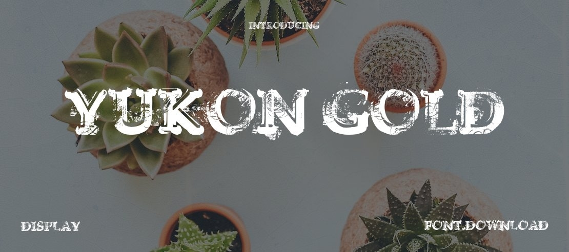 Yukon Gold Font