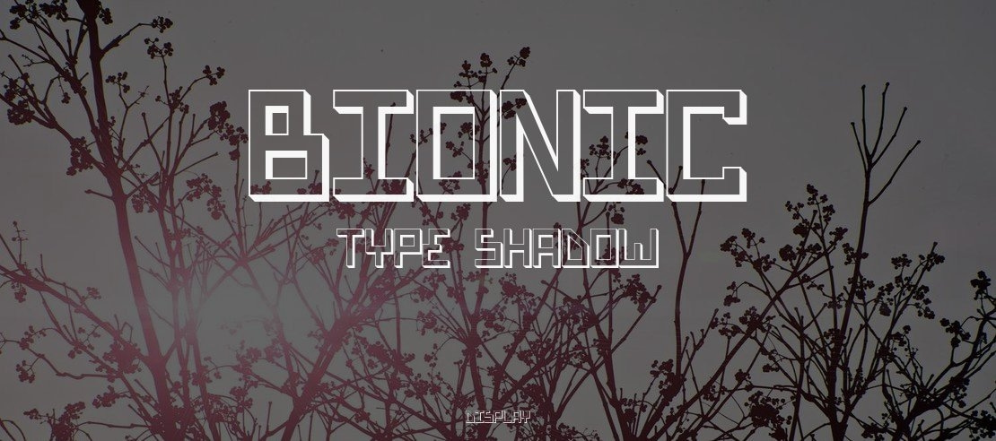 Bionic Type Shadow Font
