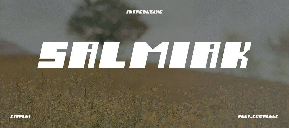 Salmiak Font