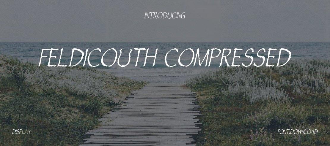 Feldicouth Compressed Font