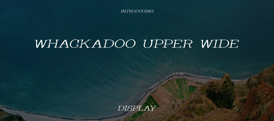 Whackadoo Upper Wide Font