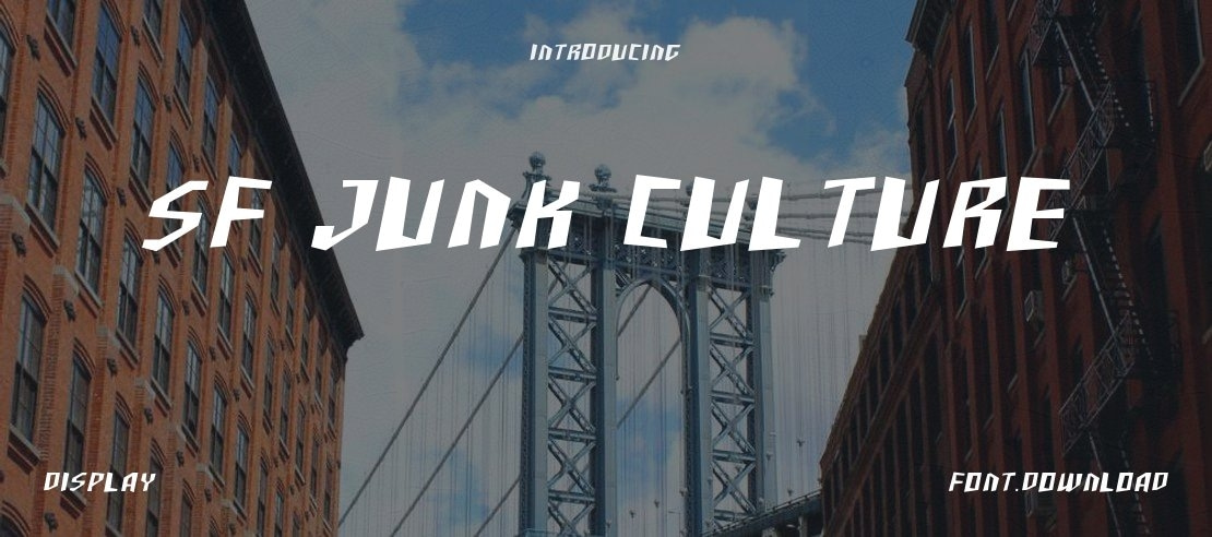 SF Junk Culture Font