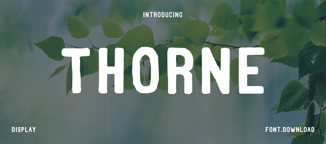 Thorne Font