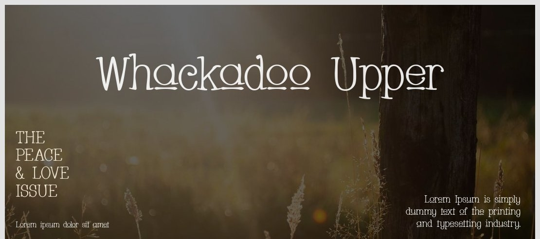 Whackadoo Upper Font Family