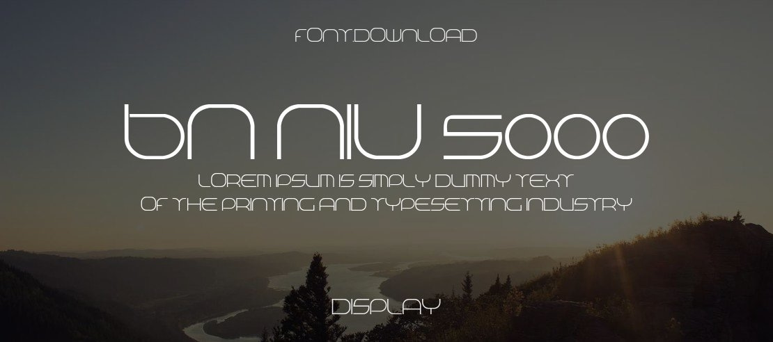 BN Niv 5000 Font