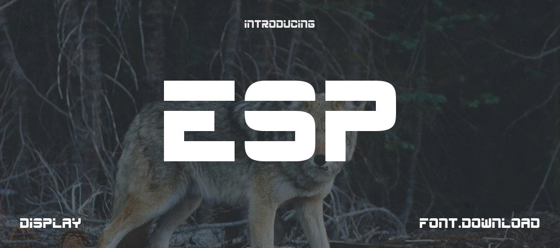 ESP Font