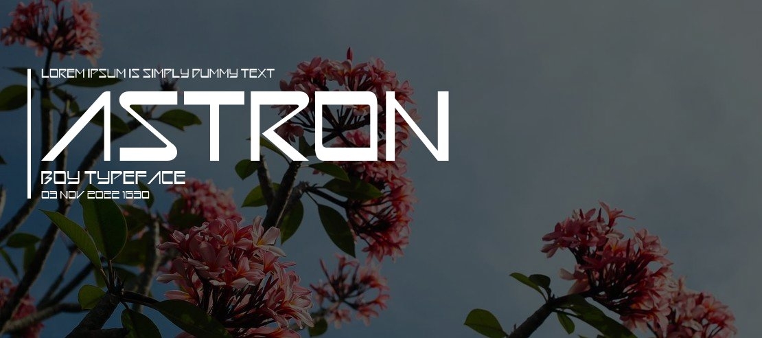 Astron Boy Font Family