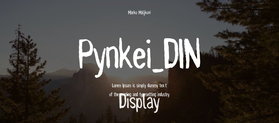 Pynkei_DIN Font