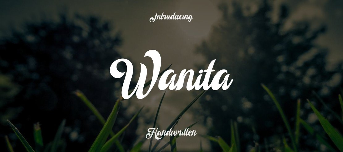 Wanita Font