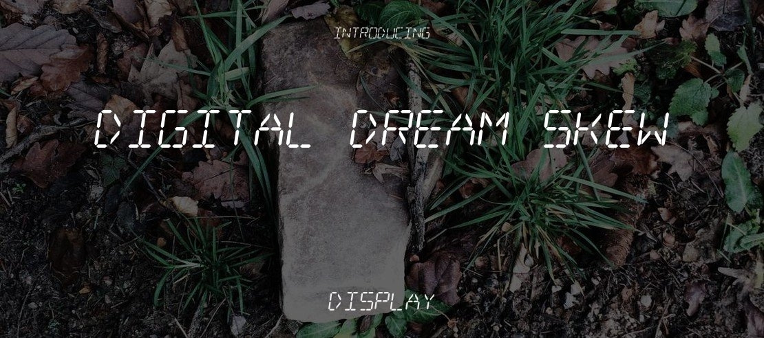 Digital dream Skew Font