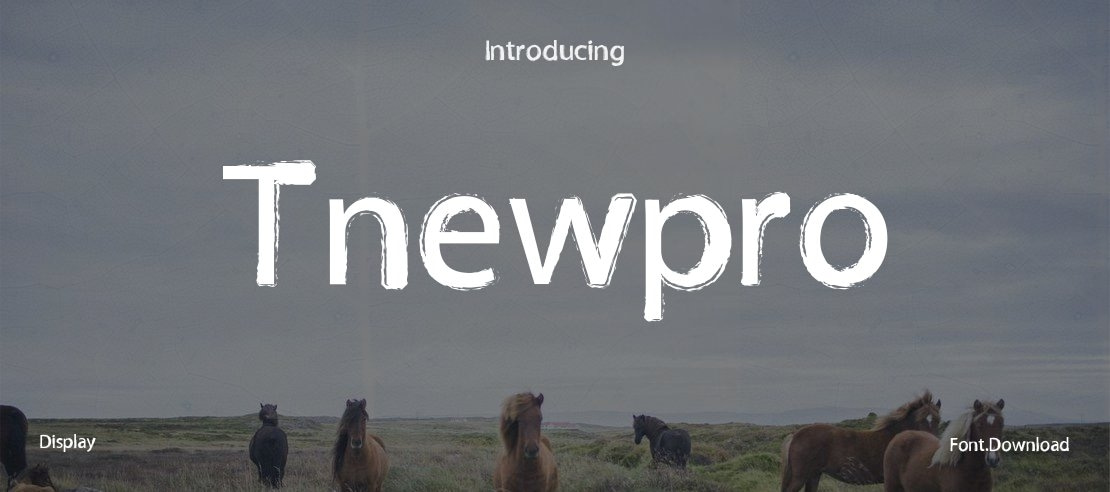 Tnewpro Font Family