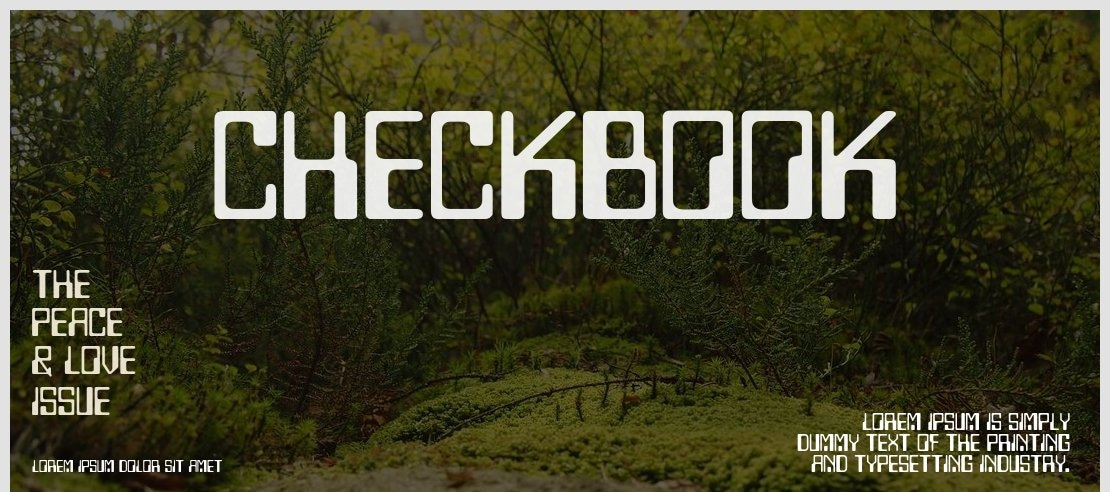 Checkbook Font