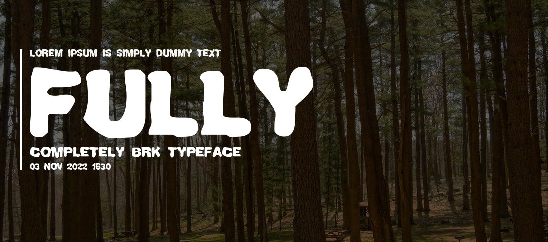 Fully Completely BRK Font