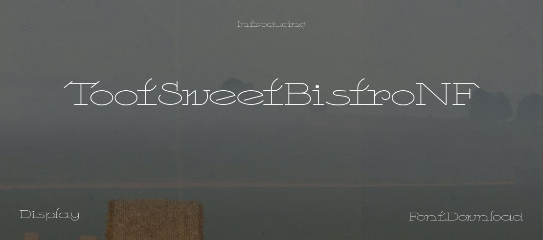 TootSweetBistroNF Font