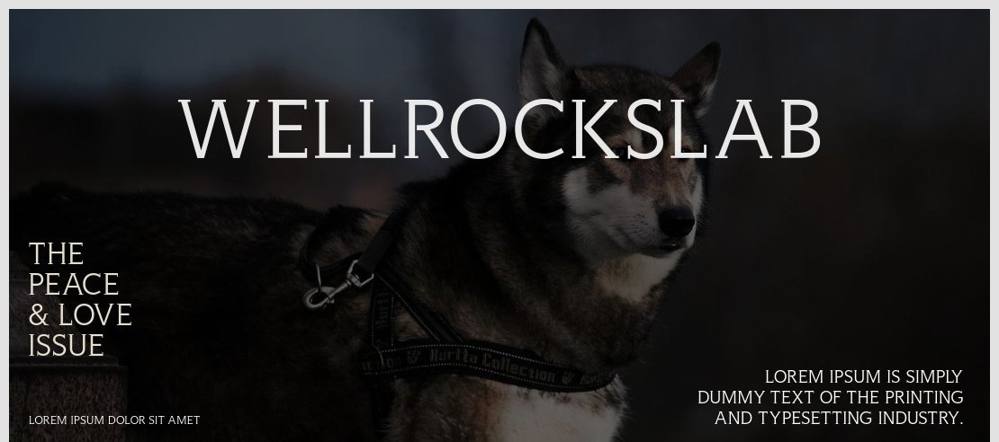 WellrockSlab Font Family