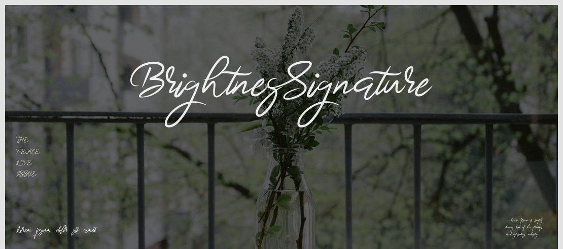 BrightnesSignature Font