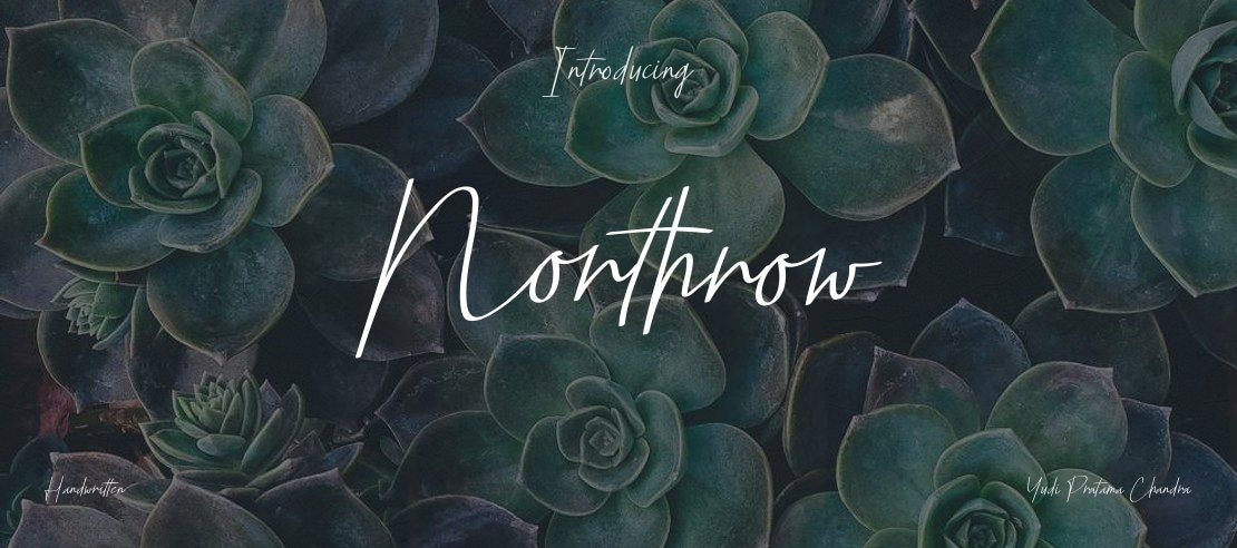Northrow Font