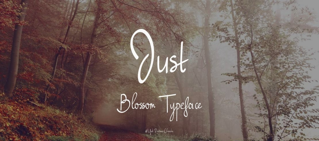 Just Blossom Font