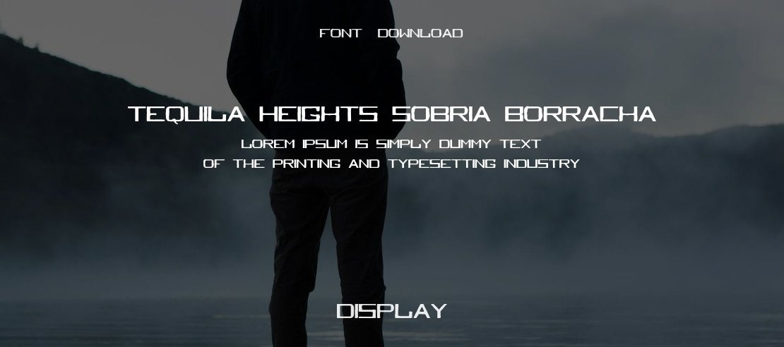 Tequila Heights Sobria Borracha Font