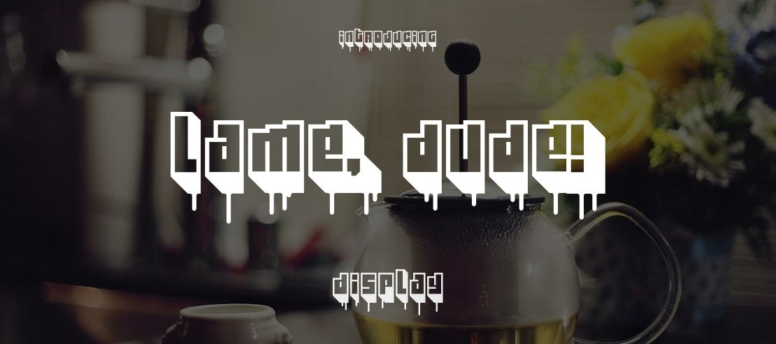 Lame, Dude! Font