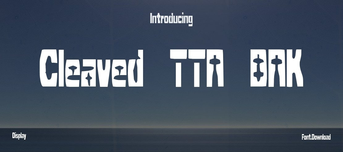 Cleaved TTR BRK Font