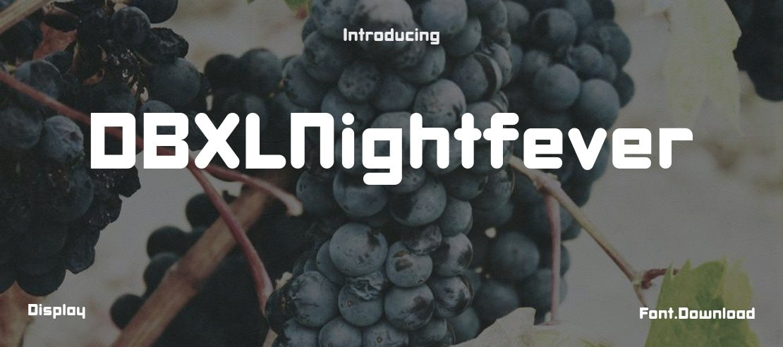 DBXLNightfever Font Family