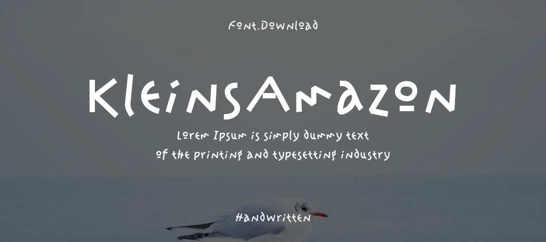 KleinsAmazon Font