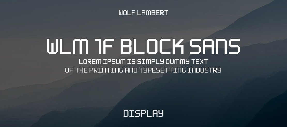 WLM 1F Block Sans Font