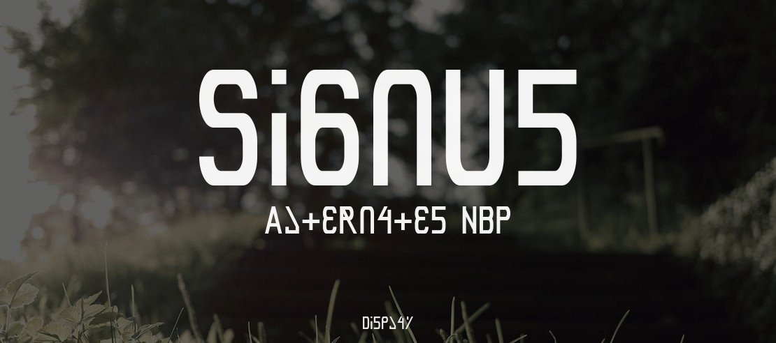 Signus Alternates NBP Font Family