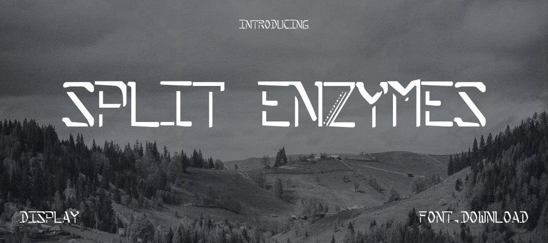 Split Enzymes Font