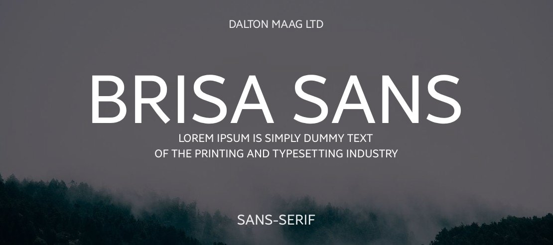 Brisa Sans Font Family