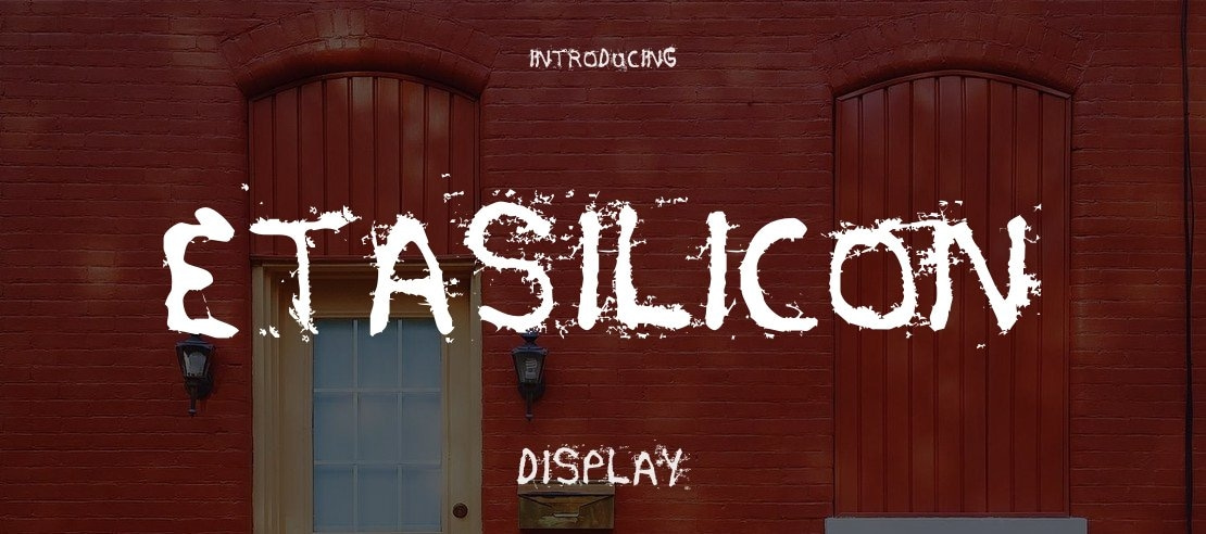 etasilicon Font