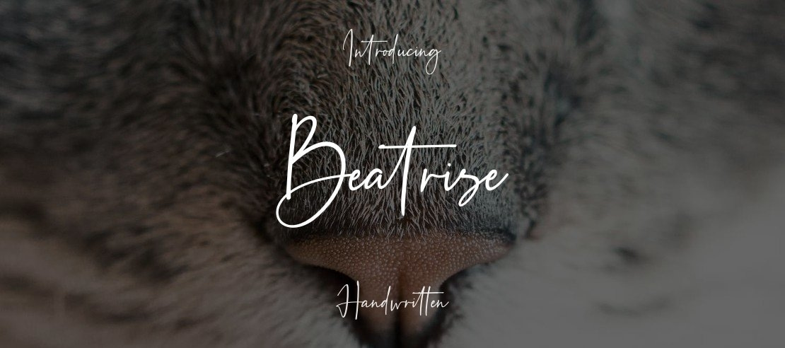 Beatrise Font