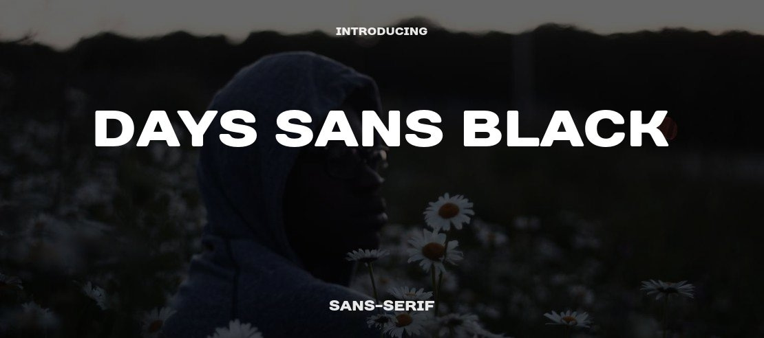 Days Sans Black Font