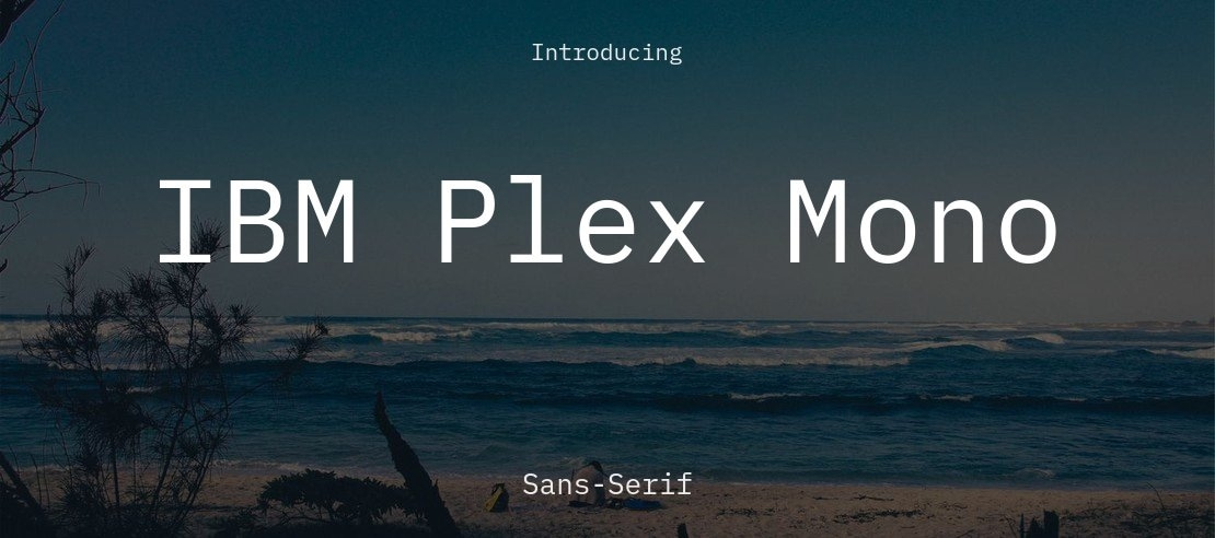 IBM Plex Mono Font Family