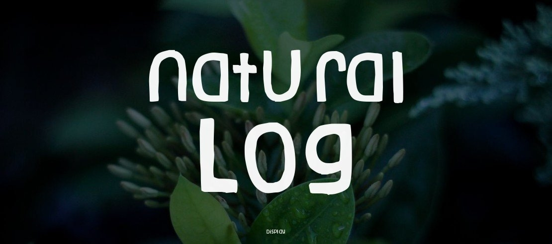 Natural Log Font