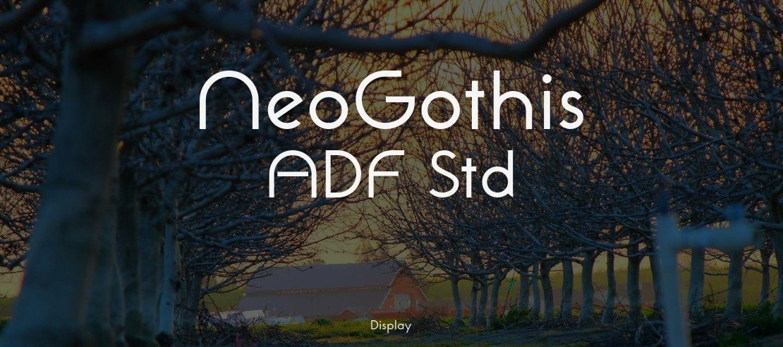 NeoGothis ADF Std Font Family