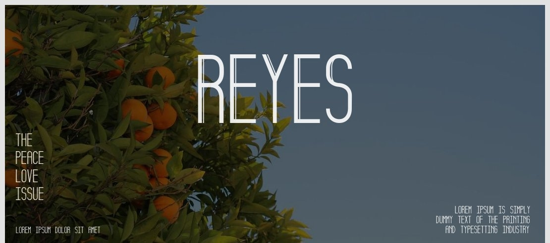 Reyes Font