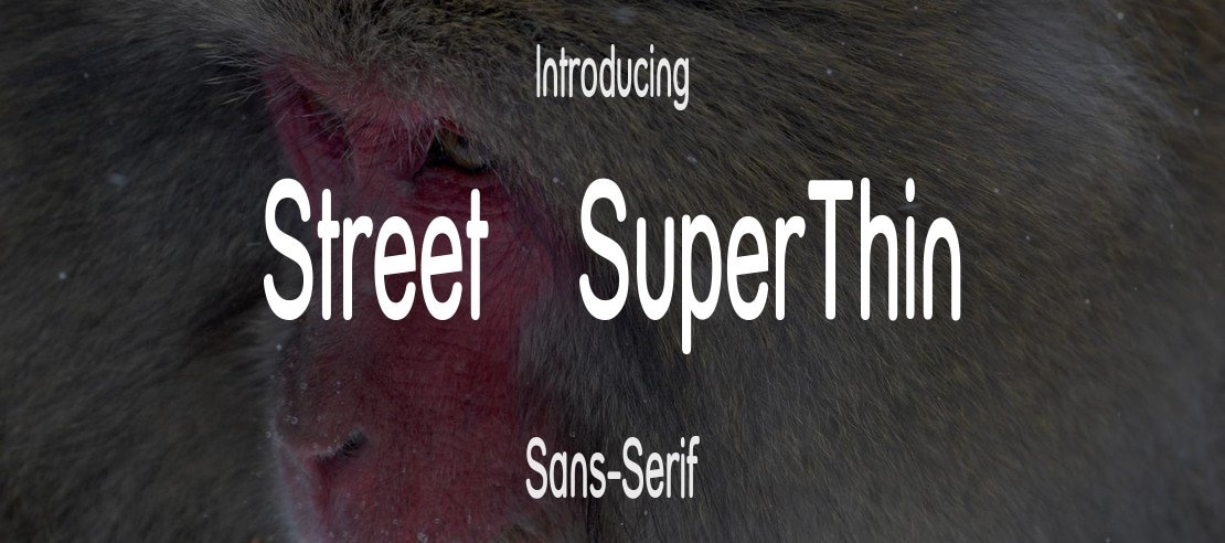 Street   SuperThin Font Family