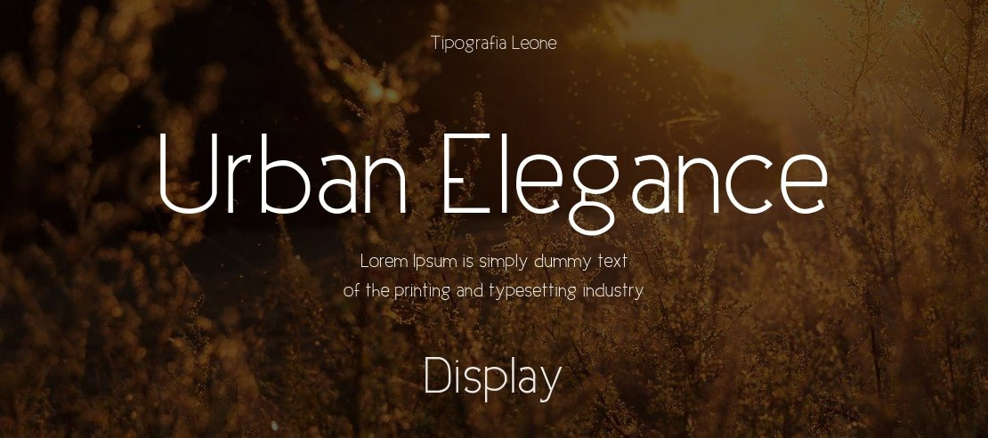 Urban Elegance Font