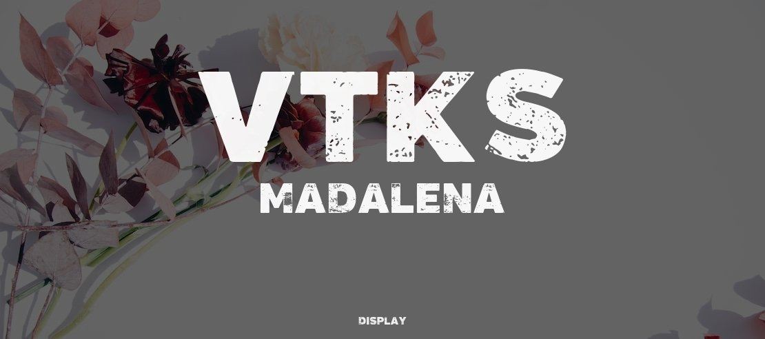 Vtks Madalena Font