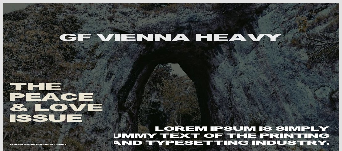 GF Vienna heavy Font