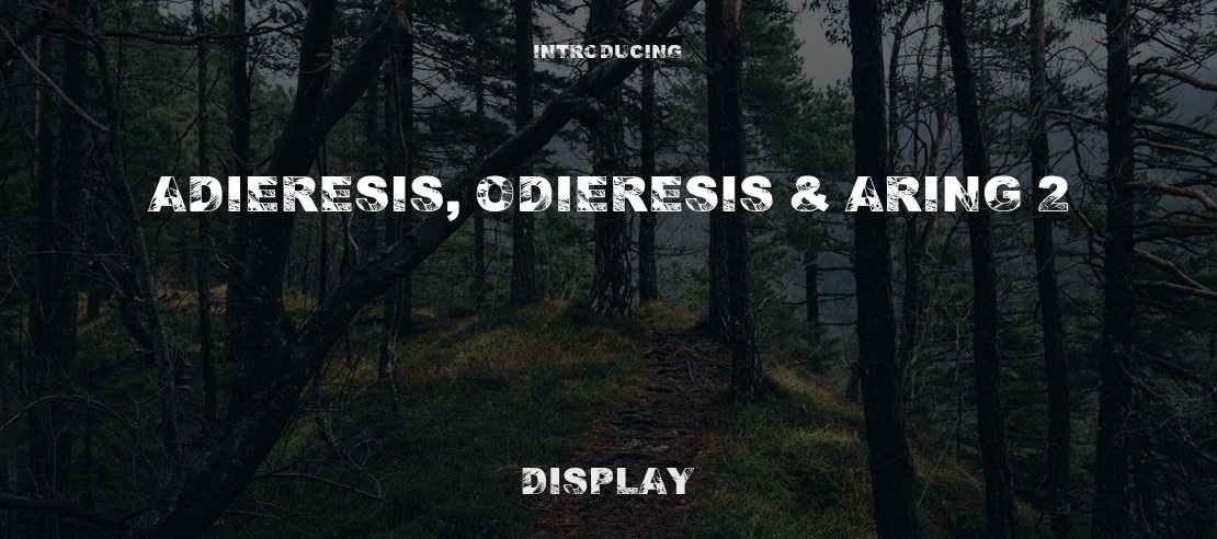 Adieresis, Odieresis & Aring 2 Font Family