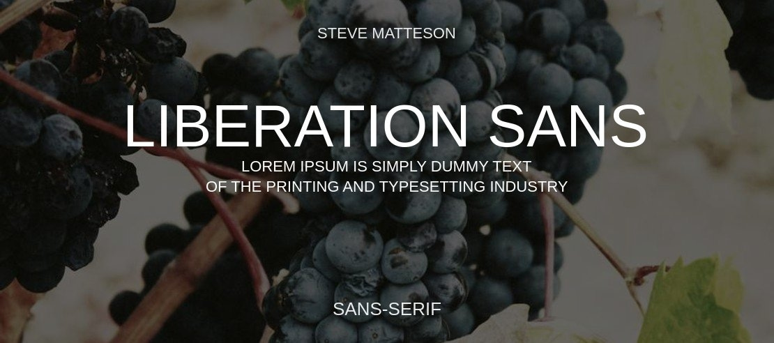 Liberation Sans Font Family