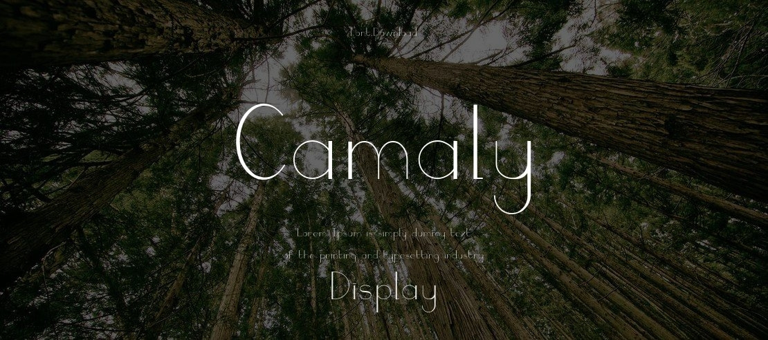Camaly Font